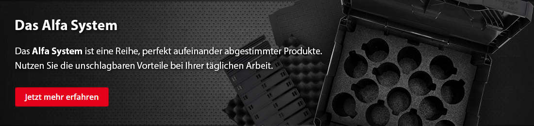 Banner des Alfa Systems für Desktop